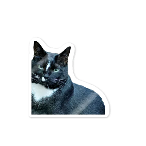 全部わかってる愛猫 Sticker