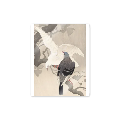 日本画：浮世絵：雨中の公孫樹に鳩 ステッカー