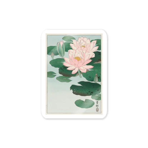 小原古邨　睡蓮　Ohara Koson / Water Lilies Sticker