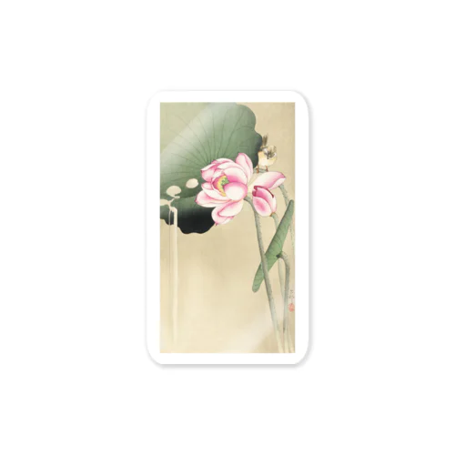 小原古邨　蓮と雀　Ohara Koson / Songbird and Lotus Sticker