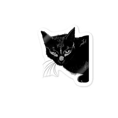 カッコよく覗きに来た黒猫 Sticker