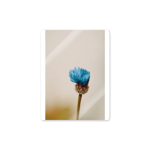 blue flower 青い花 Sticker