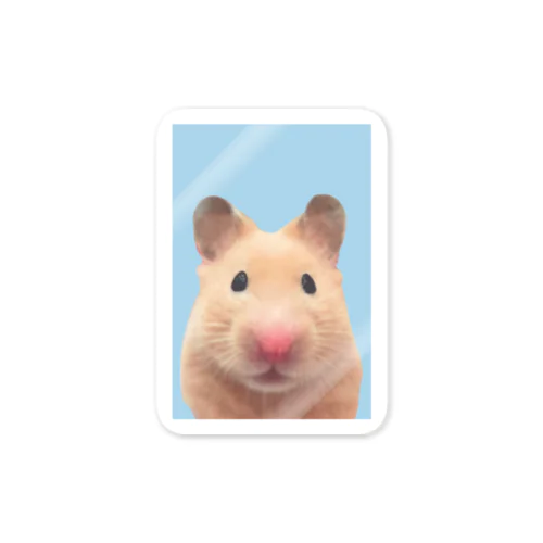 ハムスター証明写真【カット】 Sticker