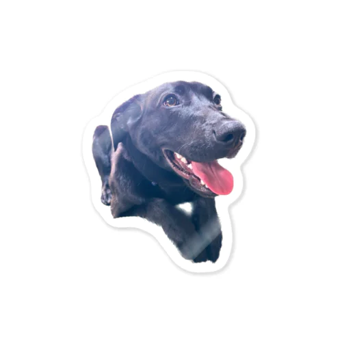 にこにこ犬 Sticker