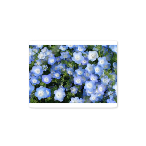 flower blue Sticker