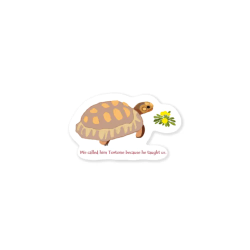 タンポポを見つけたカメの赤ちゃん　Baby tortoise who found dandelions. Sticker