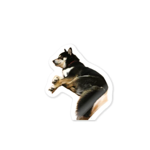 黒柴犬　ジョシーバ　癒し Sticker