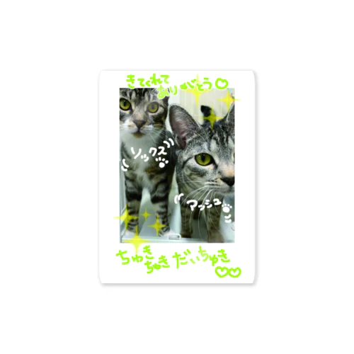  【ソックス＆アッシュ】アイドルチェキ風ステッカー Sticker