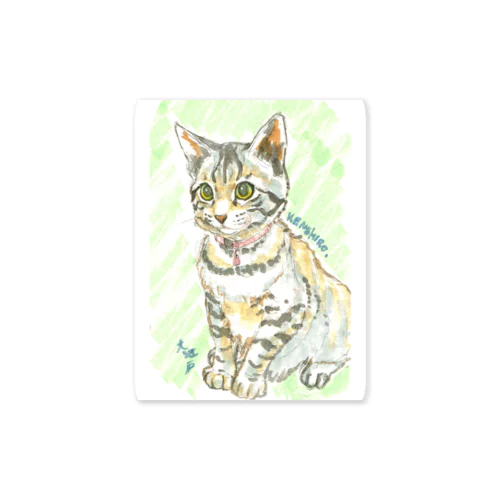 子猫ケンケン Sticker