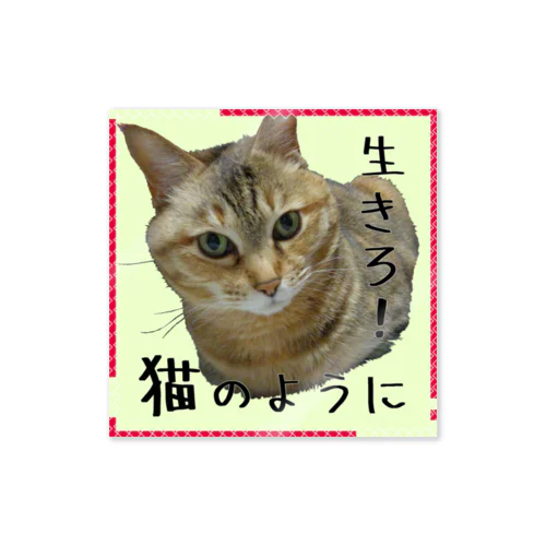 生きろ！猫のように Sticker