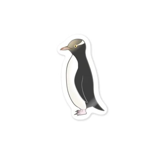 【寄付】キガシラペンギン ステッカー