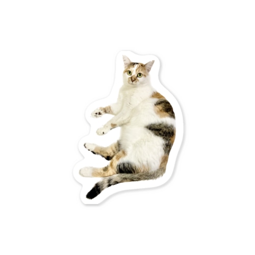 みぃ6 Sticker
