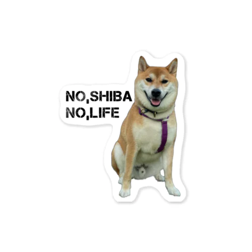 NO,SHIBA NO,LIFE 柴生くん ステッカー