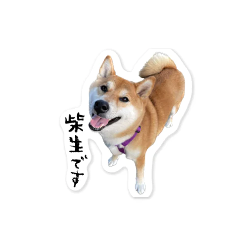 柴生です Sticker