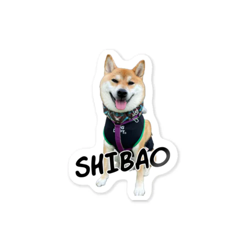 SHIBAO  ステッカー