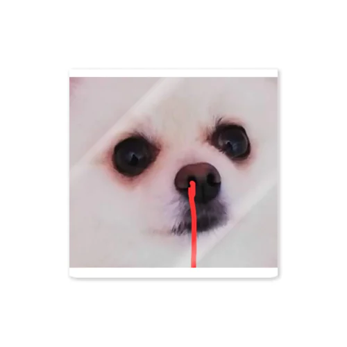 かわいい犬 Sticker