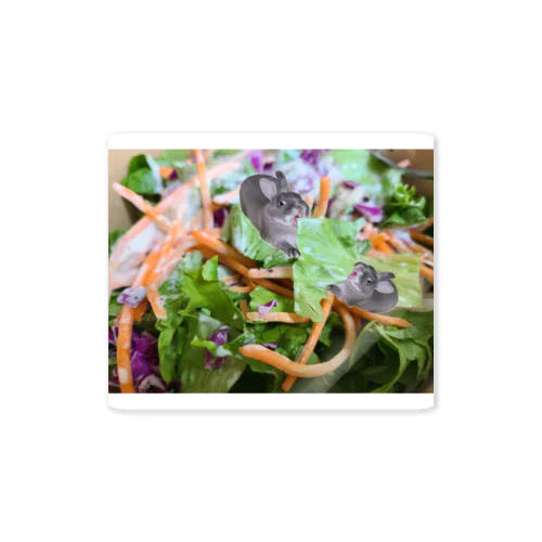 サラダ大好きうさぎ　野菜　ビーガン　健康 Sticker