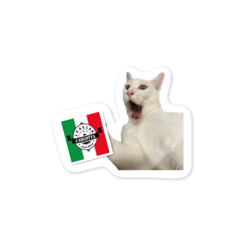 カルロッタ🇮🇹亀①③ Sticker