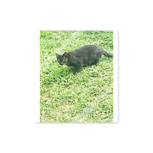 黒猫カカオの庭 ステッカー