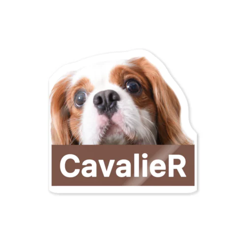 CavalieR キャバリア ステッカー