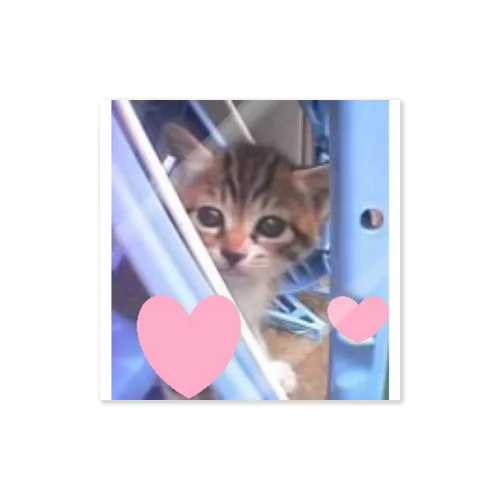 子猫２ Sticker