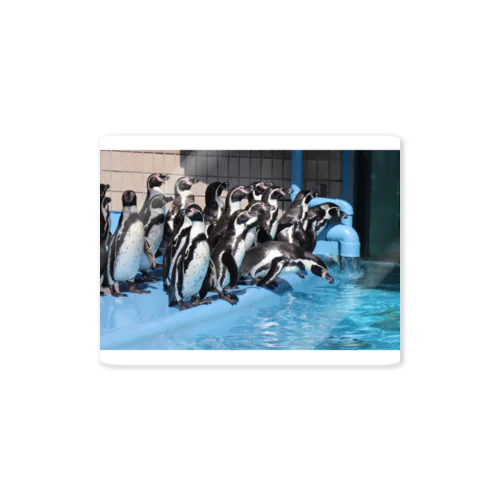 水族館のペンギン Sticker
