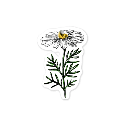 chamomile(カラー) Sticker