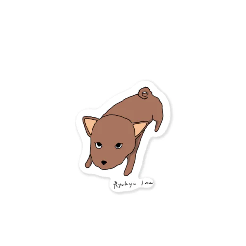 琉球犬　赤犬 Sticker