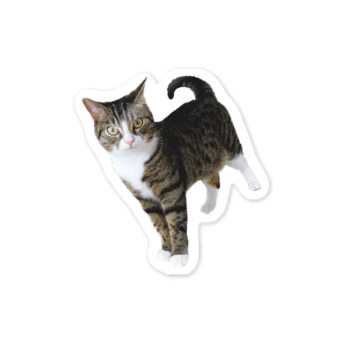 ネコのツナさまステッカー(シリーズ1) Sticker