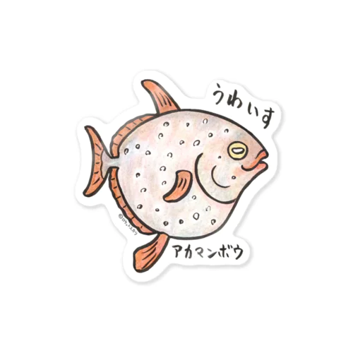 アカマンボウ Sticker