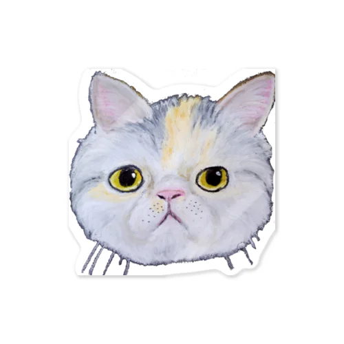 チョークアートのエキゾチックショートヘア😺 Sticker