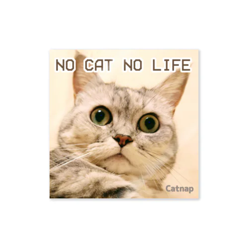 NO CAT NO LIFE✕まんまる瞳ステッカー ステッカー