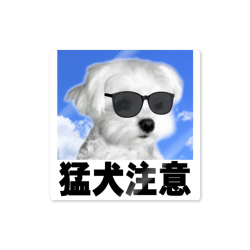 夜明けのマルチーズ おもしろ子犬グッズシリーズ（ Cute and cool puppy. ） 스티커