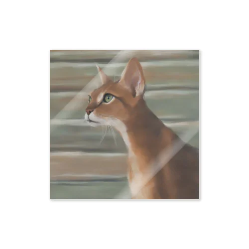 アビシニアン　Abyssinian cat Sticker