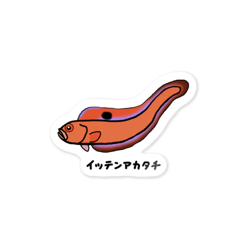 【魚シリーズ】イッテンアカタチ♪231103 Sticker