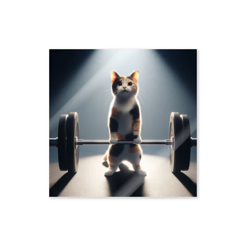 challenge cat② ステッカー