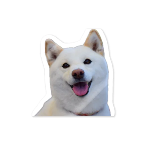 愛犬らんらん Sticker