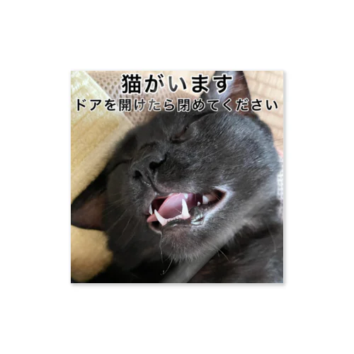 ねこステッカー　玄関脱走防止 Sticker