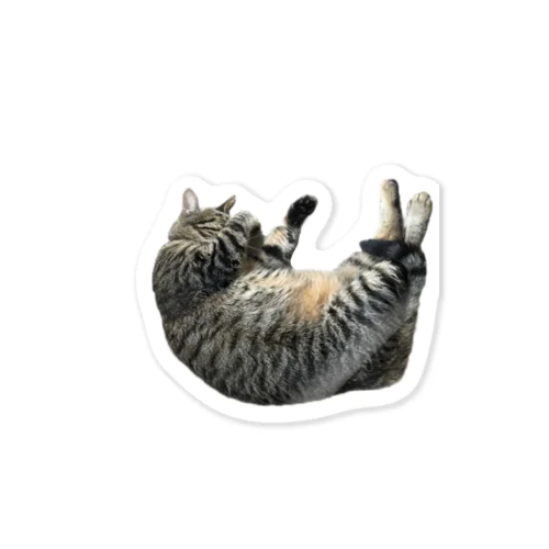 こんなところに猫が落ちてる Sticker