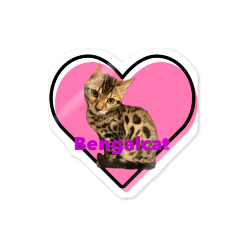 RIM cat Sticker