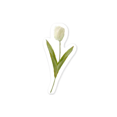 Cream Tulip Sticker