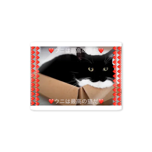 ウニは最高の猫(排他的なアイテム) わずか50株! Sticker