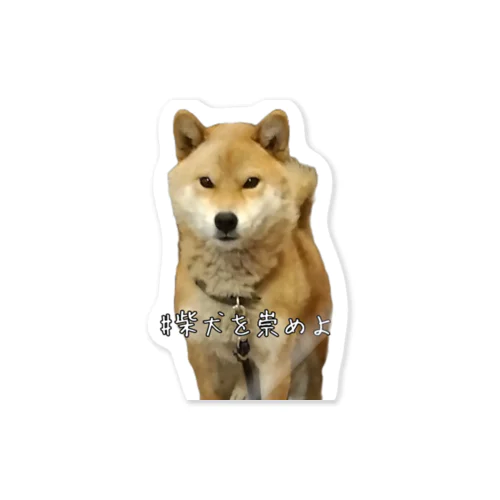 #柴犬を崇めよ うちのアイドル Sticker