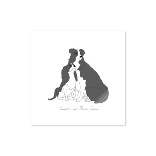 Cavalier and Border Cullier Sticker