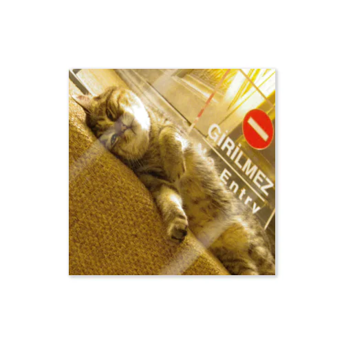  アヤソフィアの猫 Sticker