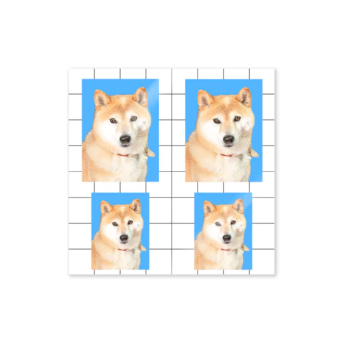 犬の証明写真 Sticker
