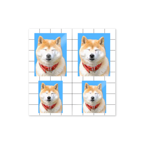 犬の証明写真 ほほえみ Sticker