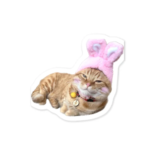 ねこもふ生活 Sticker