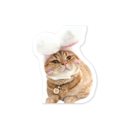 ねこもふ生活 Sticker