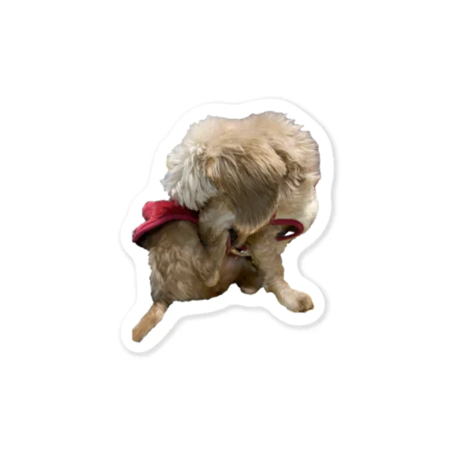 犬　ガジガジ Sticker